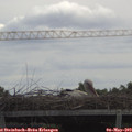 12_25-mast.jpg