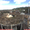 12_25-nest.jpg