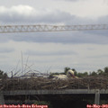12_35-mast.jpg