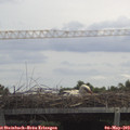 12_40-mast.jpg