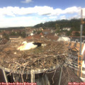 12_40-nest.jpg