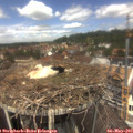 12_45-nest.jpg