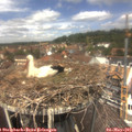 13_00-nest.jpg