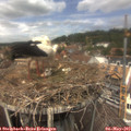13_10-nest.jpg