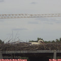 13_35-mast.jpg
