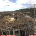 13_35-nest.jpg