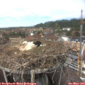 13_45-nest.jpg