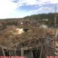 14_00-nest.jpg