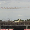 14_05-mast.jpg