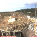 14_10-nest.jpg