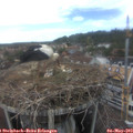 14_30-nest.jpg