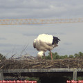 14_35-mast.jpg