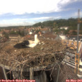 14_35-nest.jpg