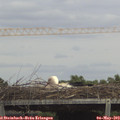 14_40-mast.jpg