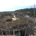 15_00-nest.jpg