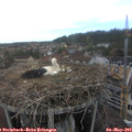 15_05-nest.jpg