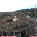 15_10-nest.jpg
