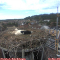 15_45-nest.jpg