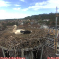 15_55-nest.jpg