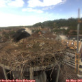 16_10-nest.jpg