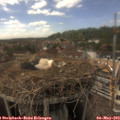 16_15-nest.jpg