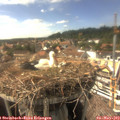 16_20-nest.jpg
