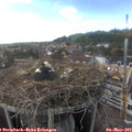 16_30-nest.jpg