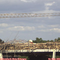 16_35-mast.jpg