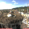 16_35-nest.jpg