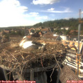 16_45-nest.jpg