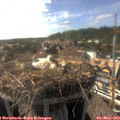 17_20-nest.jpg