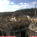 17_35-nest.jpg