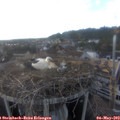 17_40-nest.jpg