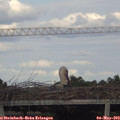 17_45-mast.jpg