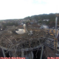 17_45-nest.jpg