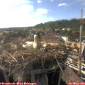 17_55-nest.jpg