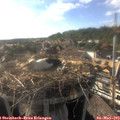 18_00-nest.jpg