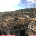 18_05-nest.jpg
