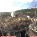 18_15-nest.jpg