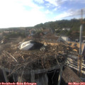 18_20-nest.jpg