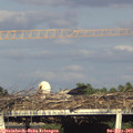 18_30-mast.jpg