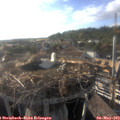 18_30-nest.jpg