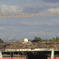 18_35-mast.jpg
