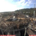 18_40-nest.jpg