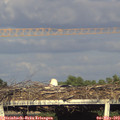 18_45-mast.jpg