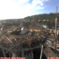 18_45-nest.jpg
