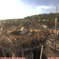 18_55-nest.jpg