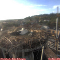 19_00-nest.jpg