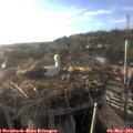 19_05-nest.jpg
