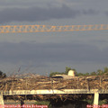 19_40-mast.jpg